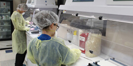 Compounding Pharmacies